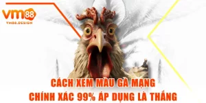 Cách Xem Màu Gà Mạng Chính Xác 99% Áp Dụng Là Thắng