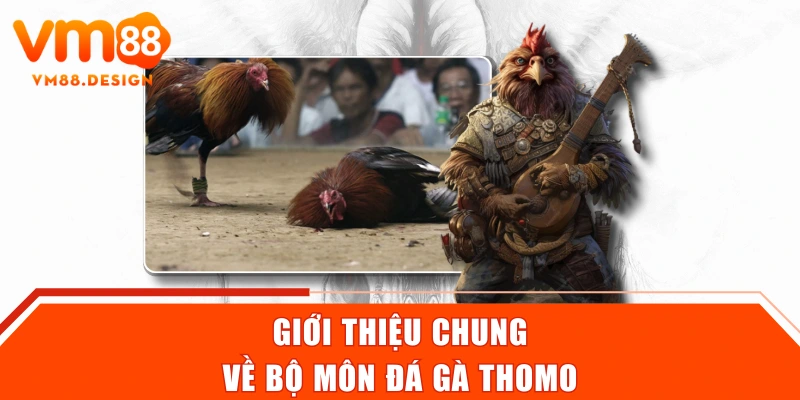 Giới thiệu chung về bộ môn đá gà Thomo
