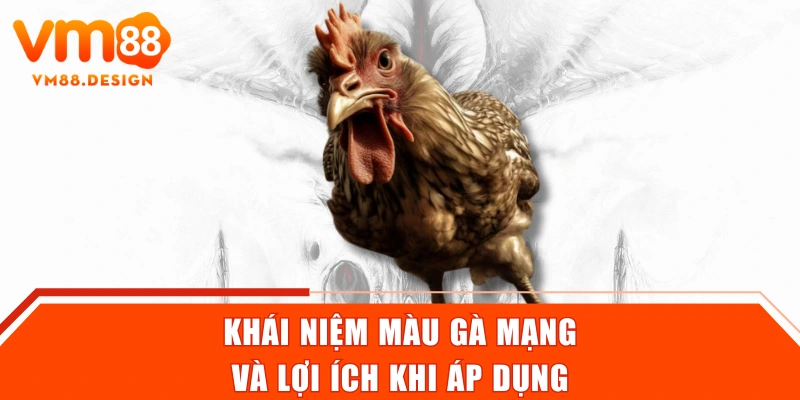 Khái niệm màu gà mạng và lợi ích khi áp dụng