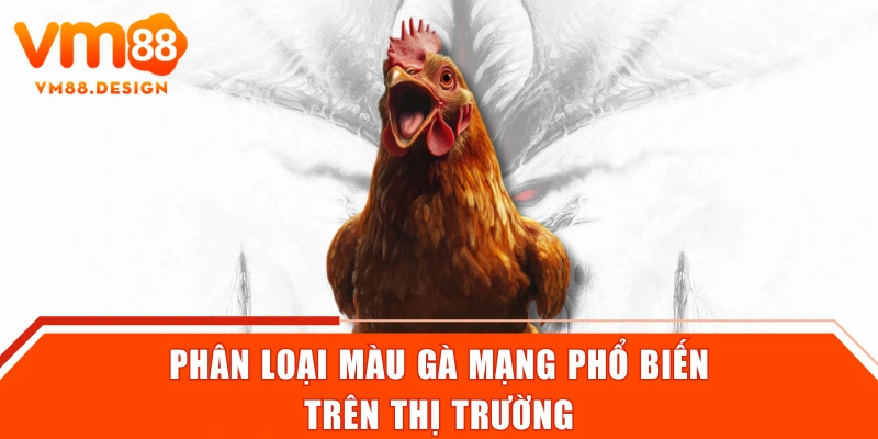 Phân loại màu gà mạng phổ biến trên thị trường