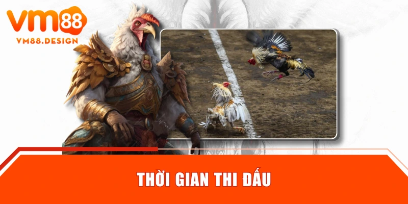 Thời gian thi đấu