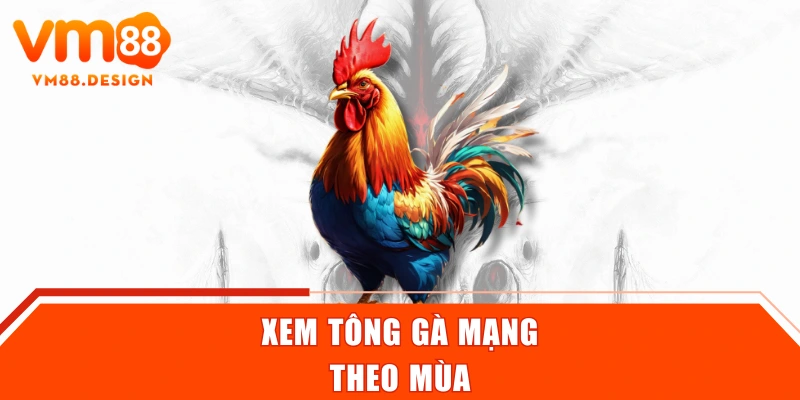 Xem tông gà mạng theo mùa